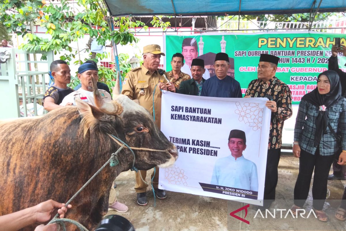 Pemprov PB sumbang dua sapi kurban untuk umat Muslim Sorong