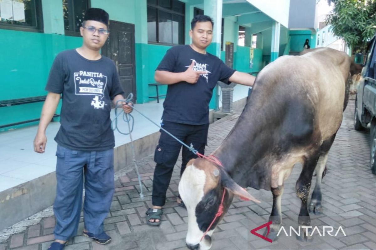 Muhammadiyah Bogor potong hewan kurban, 2 sapi dan 14 kambing, di lokasi bencana