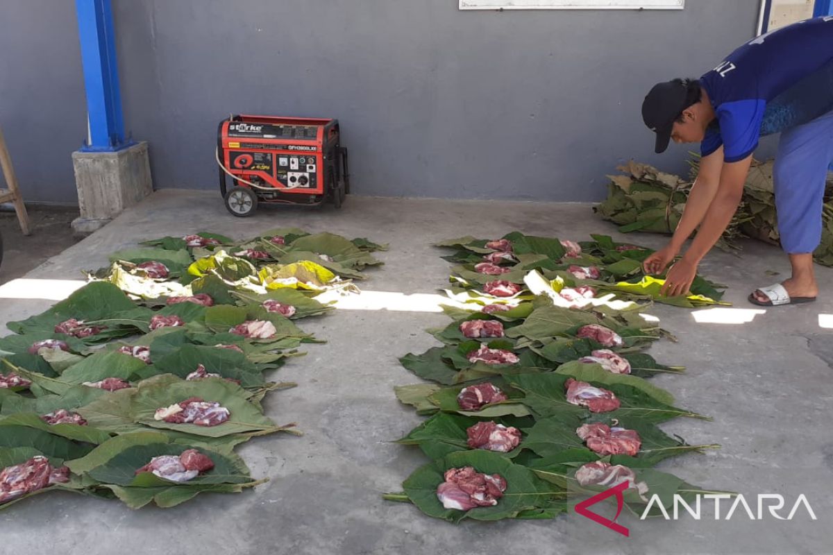 Akademisi Unej sarankan gunakan daun jati pembungkus daging kurban