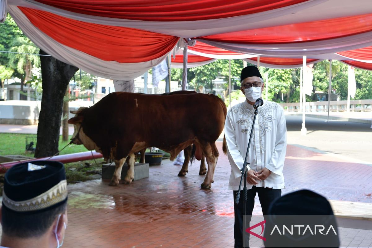 Wapres Ma'ruf Amin serahkan kurban sapi satu ton untuk Masjid Istiqlal