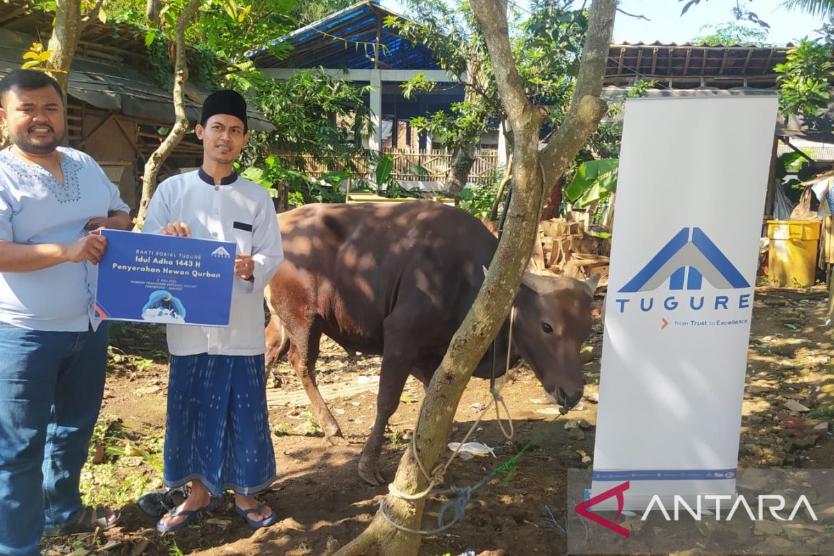 Tugure salurkan hewan kurban ke Pondok Pesantren di Tangerang dan Kelurahan Menteng