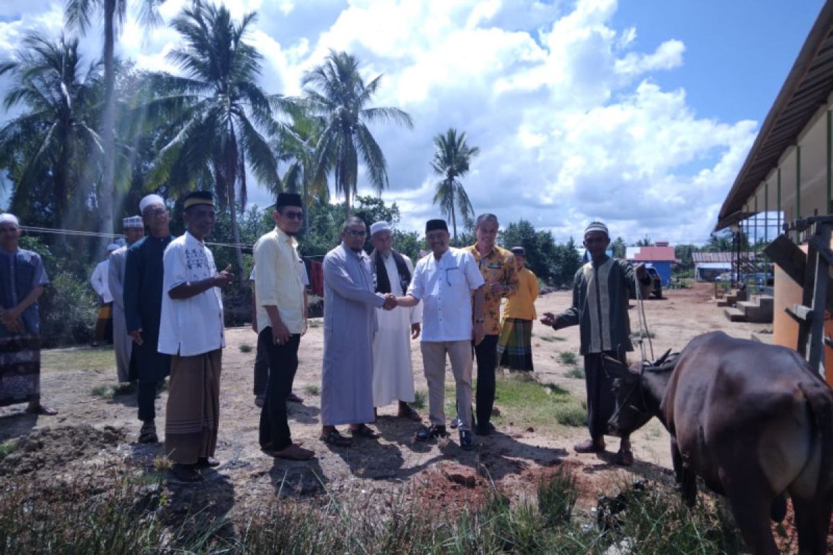 Ketua DPRD Ketapang serahkan lima sapi kurban untuk masyarakat