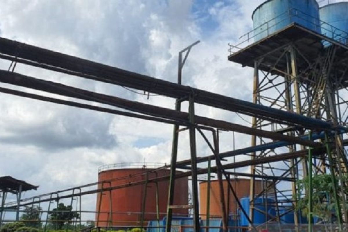 Tangki CPO sejumlah pabrik kelapa sawit di Kalimantan penuh