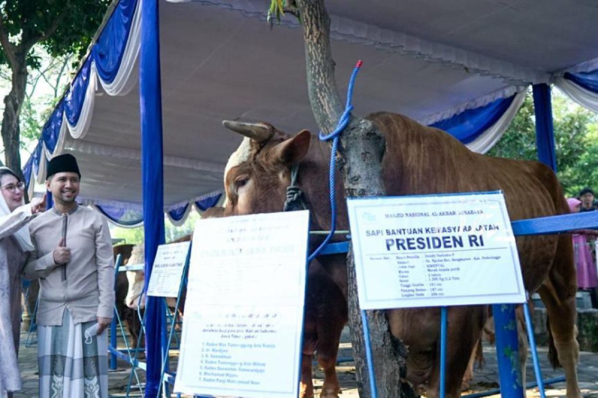 Emil Dardak serahkan sapi kurban milik Presiden Jokowi ke Masjid Al Akbar