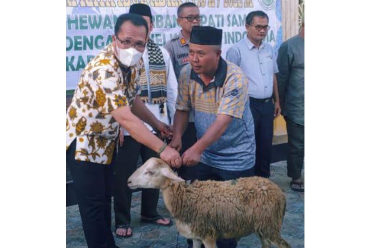 Pemkab Samosir serahkan hewan kurban untuk umat Muslim