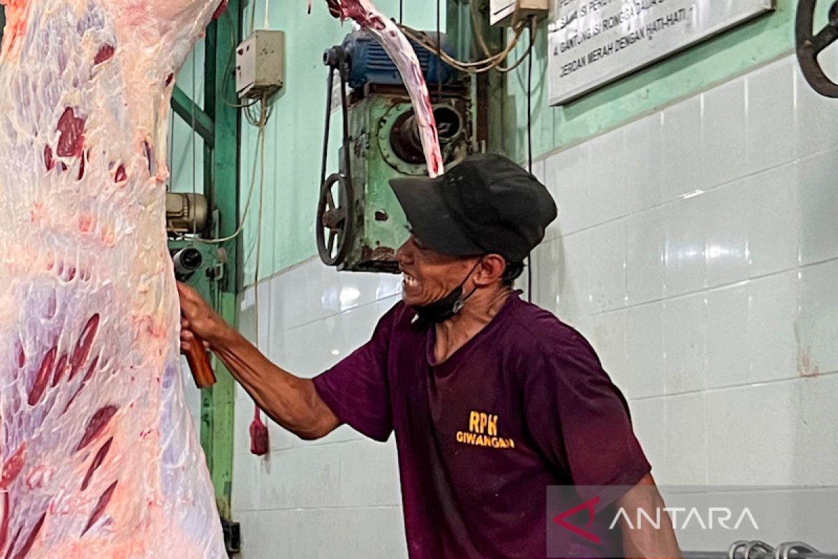 Distan Yogyakarta temukan hewan kurban terindikasi PMK pada post mortem