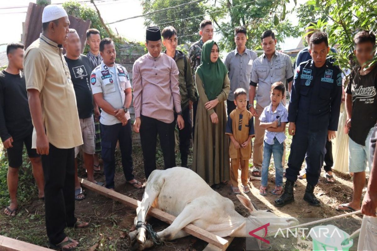 Rutan Tarutung potong hewan kurban rayakan Idul Adha