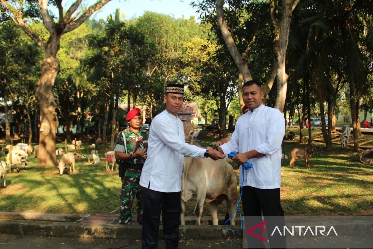 Kopassus salurkan daging hewan kurban ke desa binaan dan ponpes