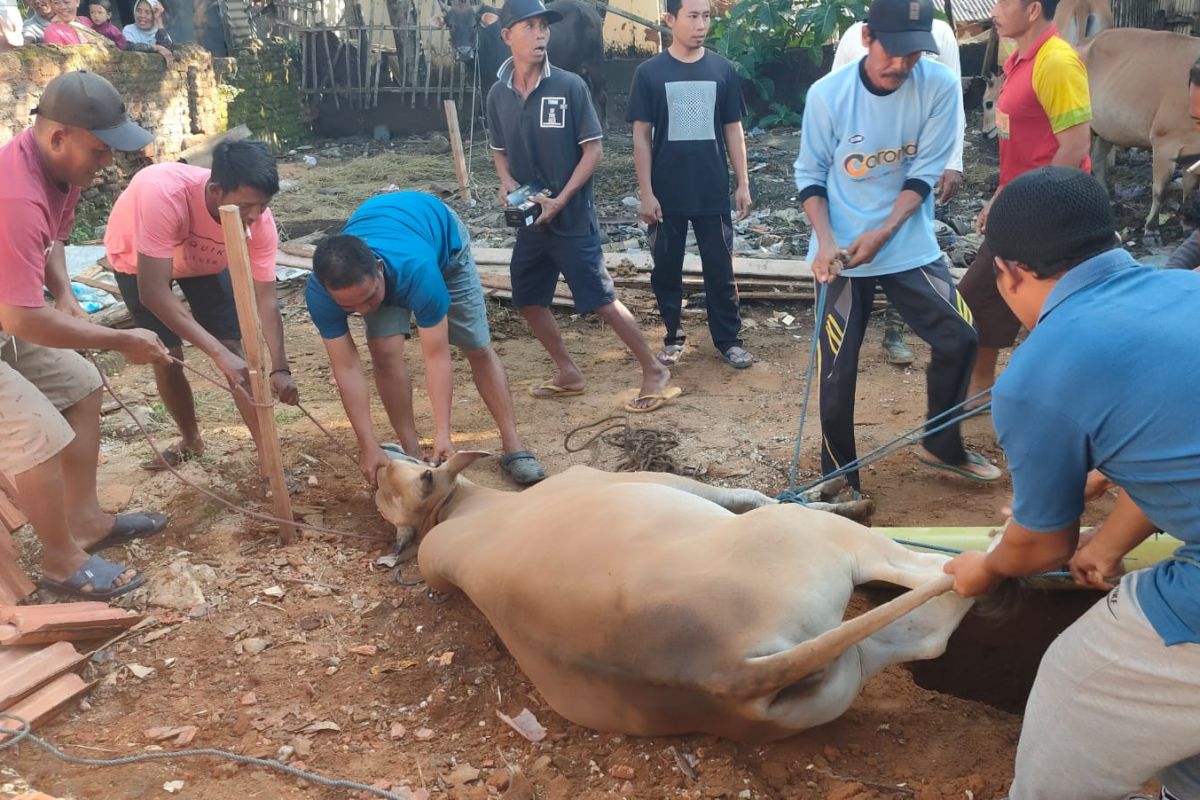 Idul Adha di pulau terpencil di ujung timur Kabupaten Sumenep