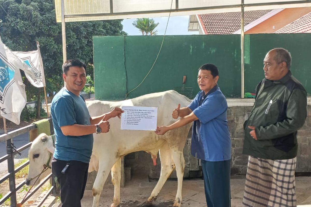PKB Lampung kurbankan 143 ekor sapi dan kambing untuk masyarakat Lampung