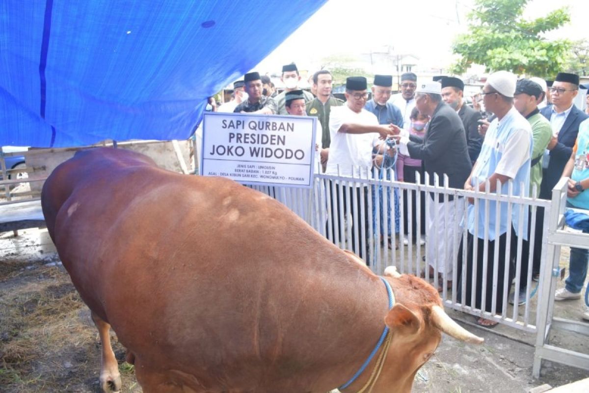 Pj Gubernur Sulbar tekankan penyaluran daging kurban tepat sasaran