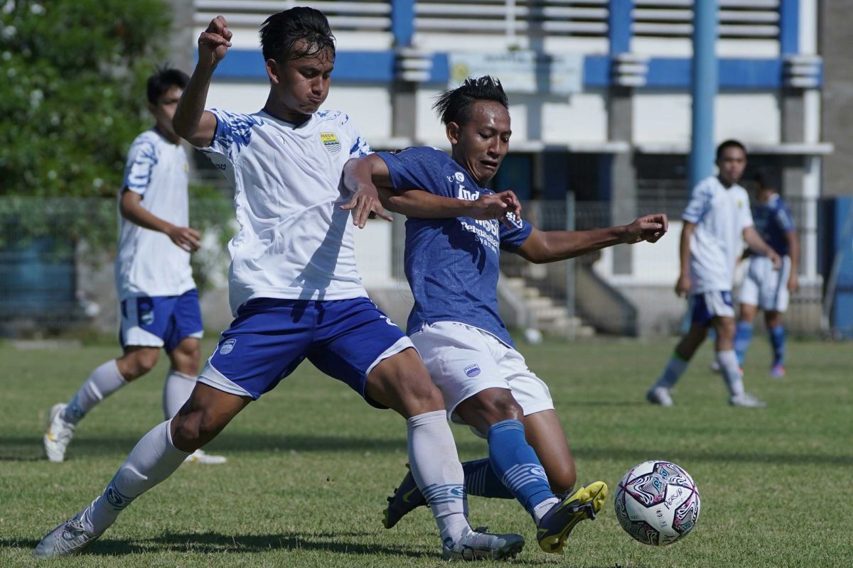 Liga Indonesia - Beckham kunci kemenangan Persib atas Arema