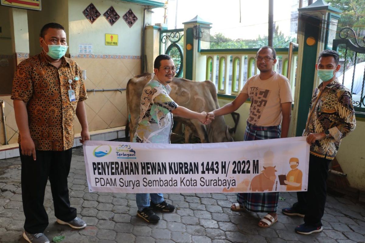 PDAM Surya Sembada Surabaya salurkan sapi kurban ke sejumlah masjid