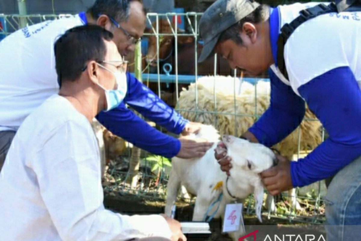 Petugas DPKP Karawang disebar untuk pemeriksaan hewan kurban