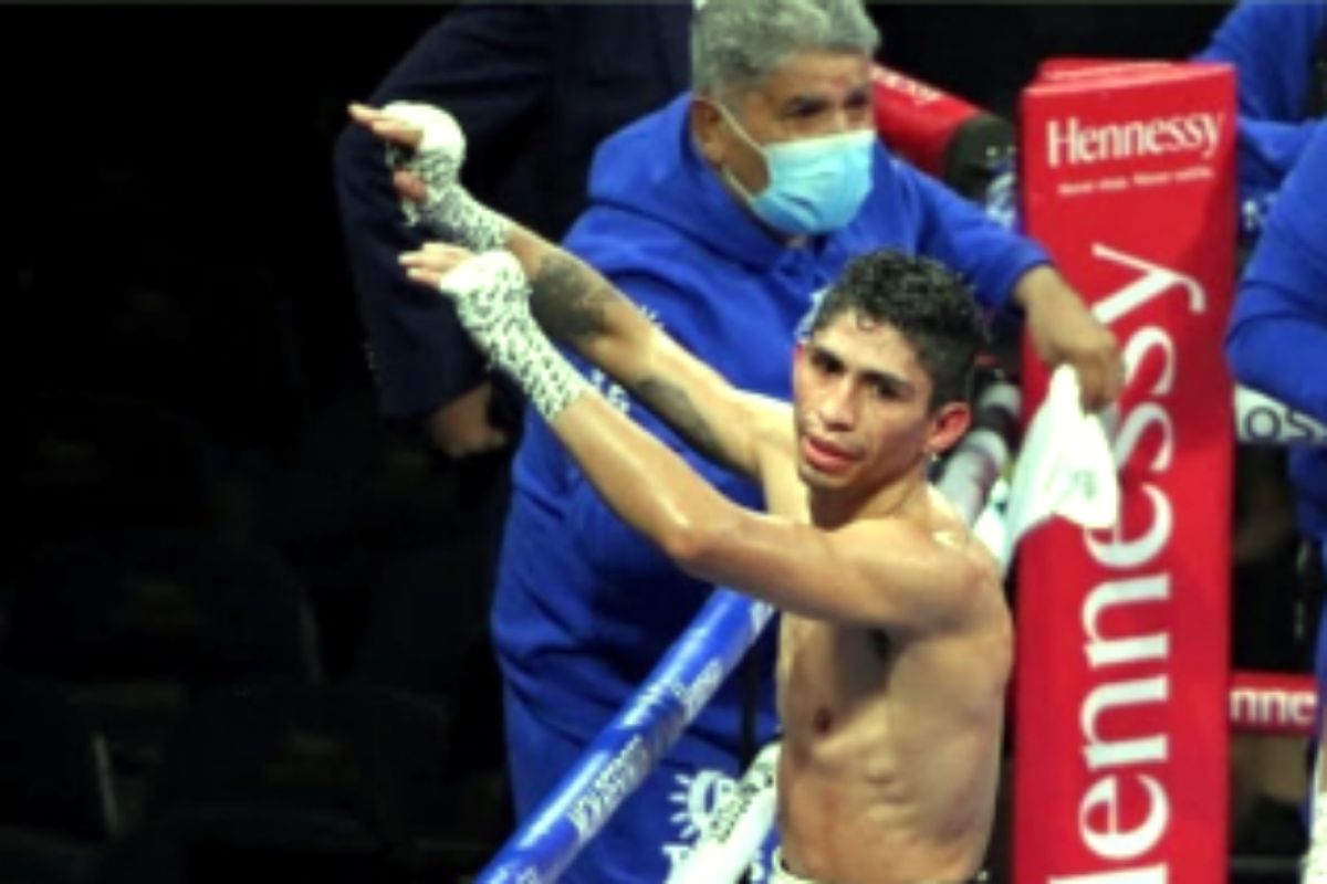 Rey Vargas rebut sabuk WBC kelas bulu dari Mark Magsayo