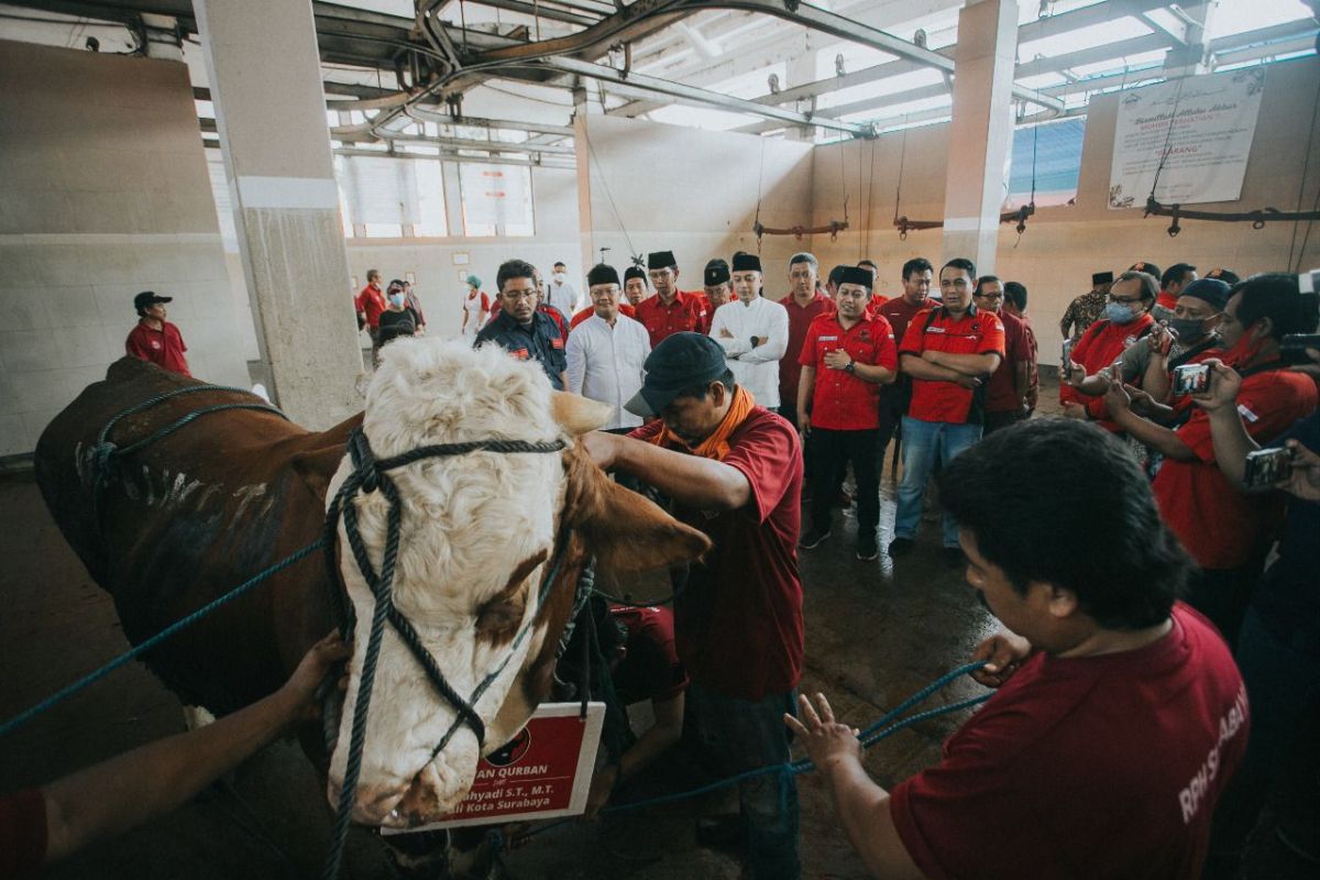 PDI Perjuangan Surabaya potong 11 sapi kurban di RPH Pegirian