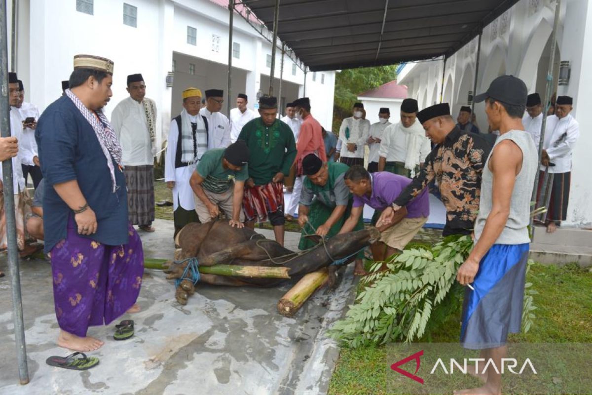 Takmirul Masjid Islamic Center bagikan 150 paket daging kurban