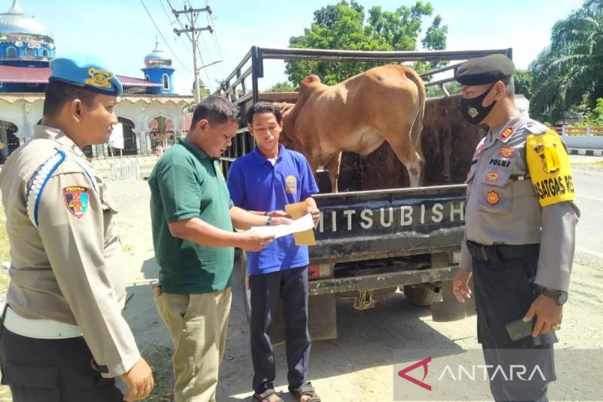 Cegah PMK, Polres Aceh Barat perketat pemeriksaan ternak di perbatasan