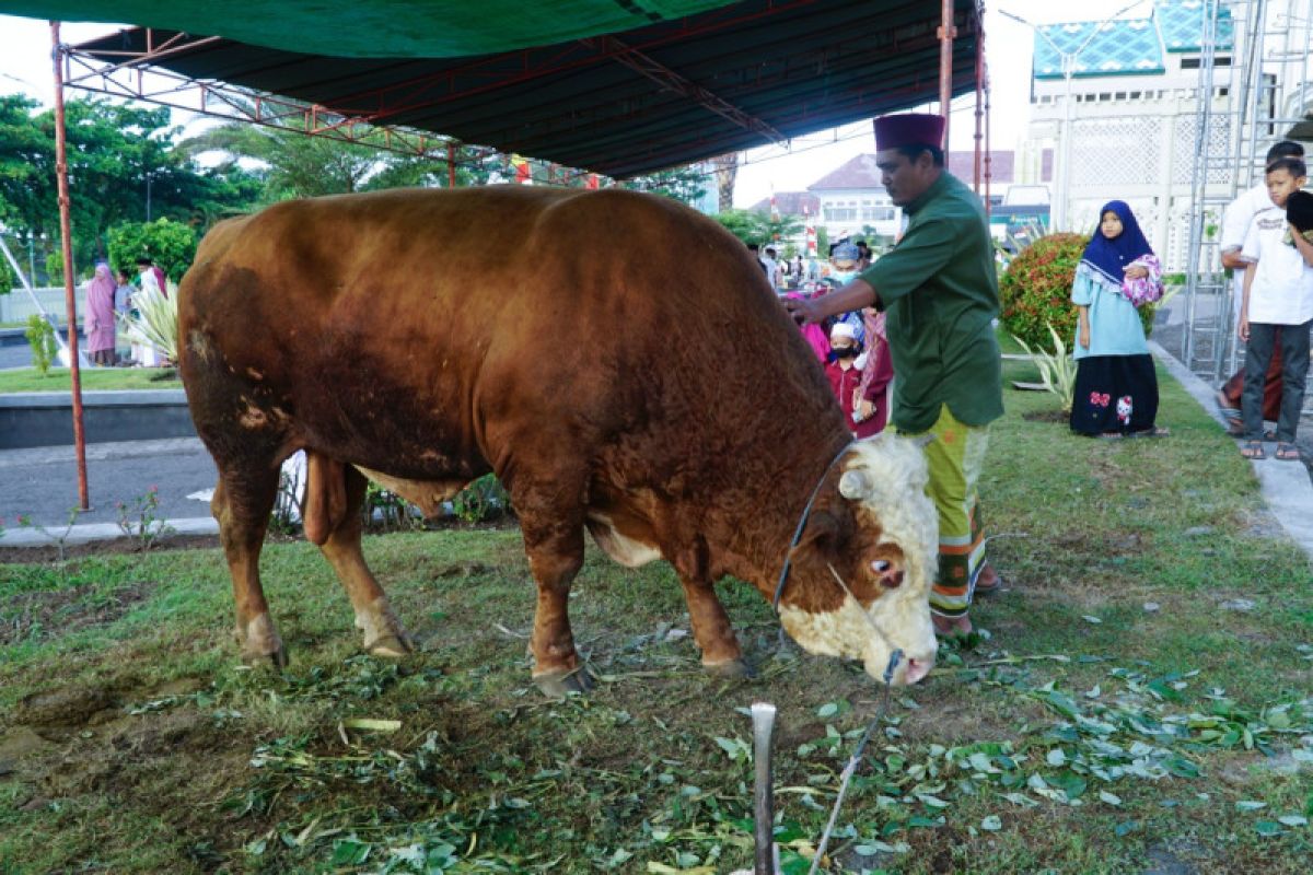 Hewan kurban dari Presiden Jokowi disalurkan ke Lombok Timur