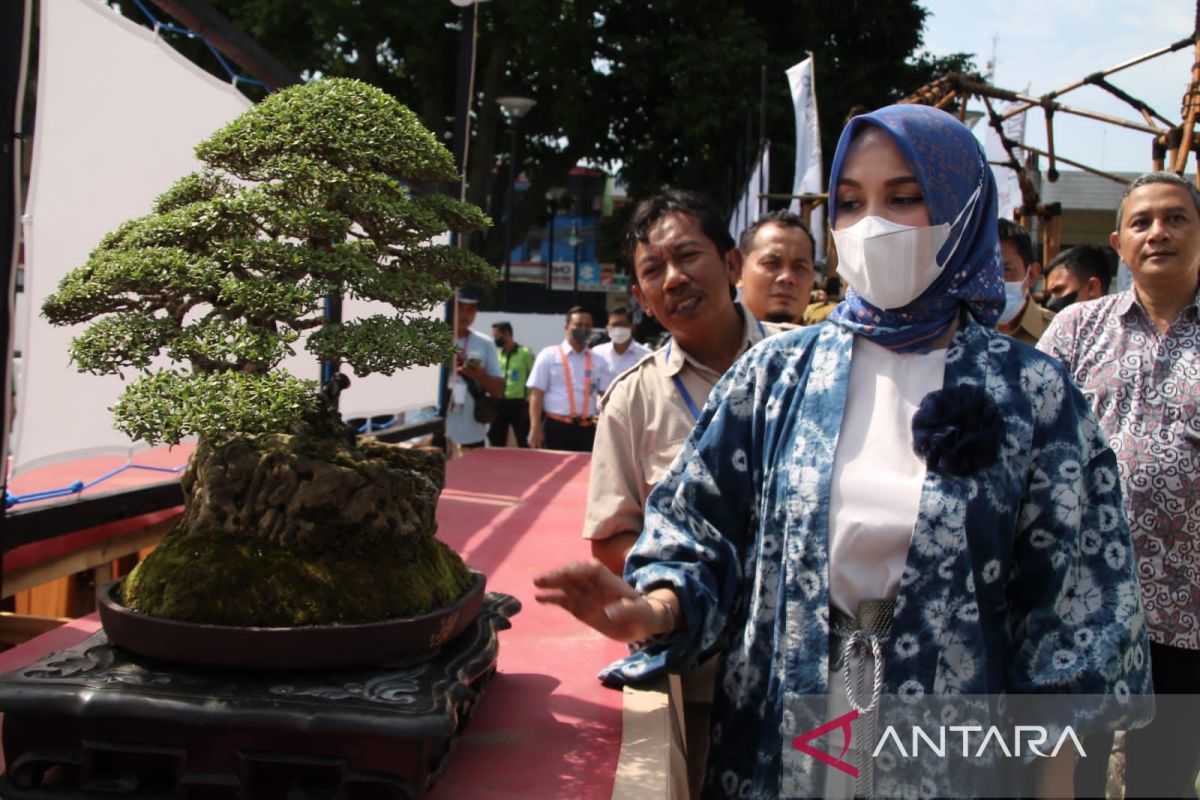 Pameran Bonsai kolaborasi dengan UMKM bangkitkan ekonomi Kota Bogor