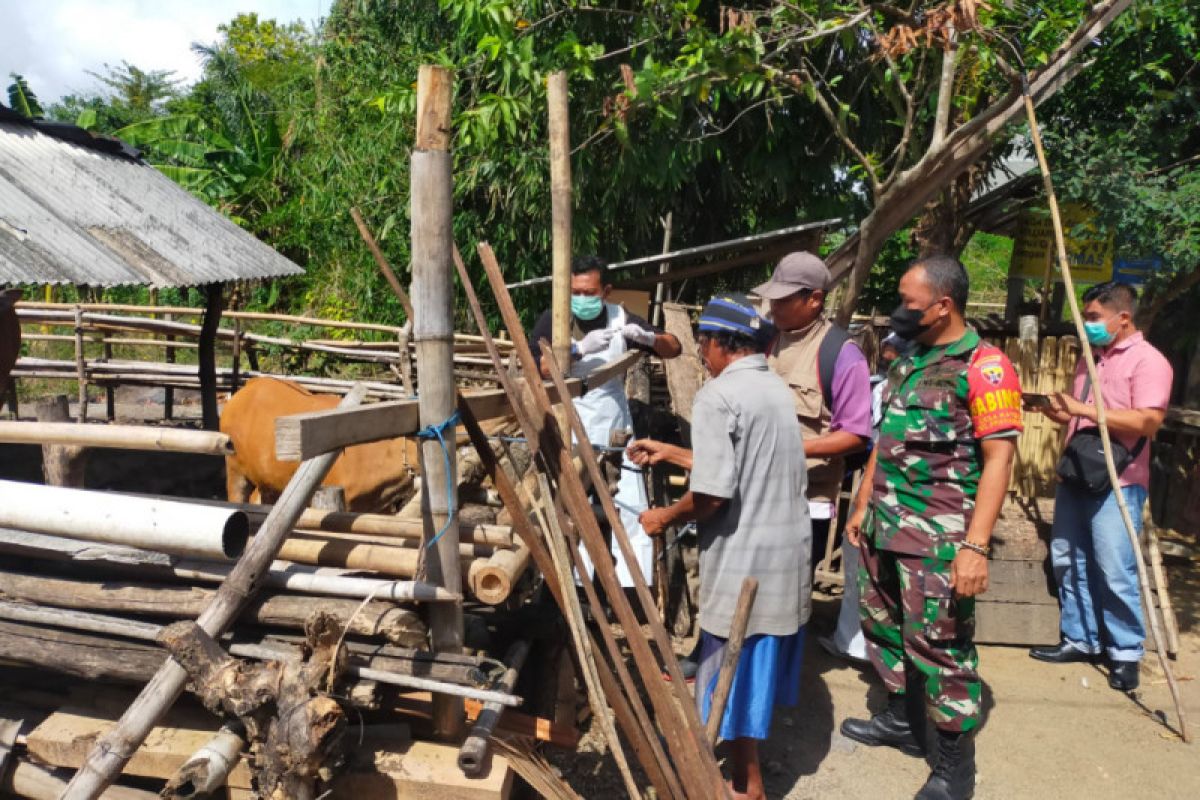 Satgas gabungan dibentuk guna mengendalikan PMK di Lombok Tengah