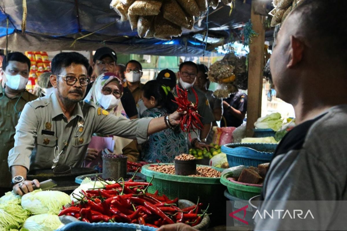 Cegah kuku mulut ternak, Mentan jalin kerja sama dengan BNPB