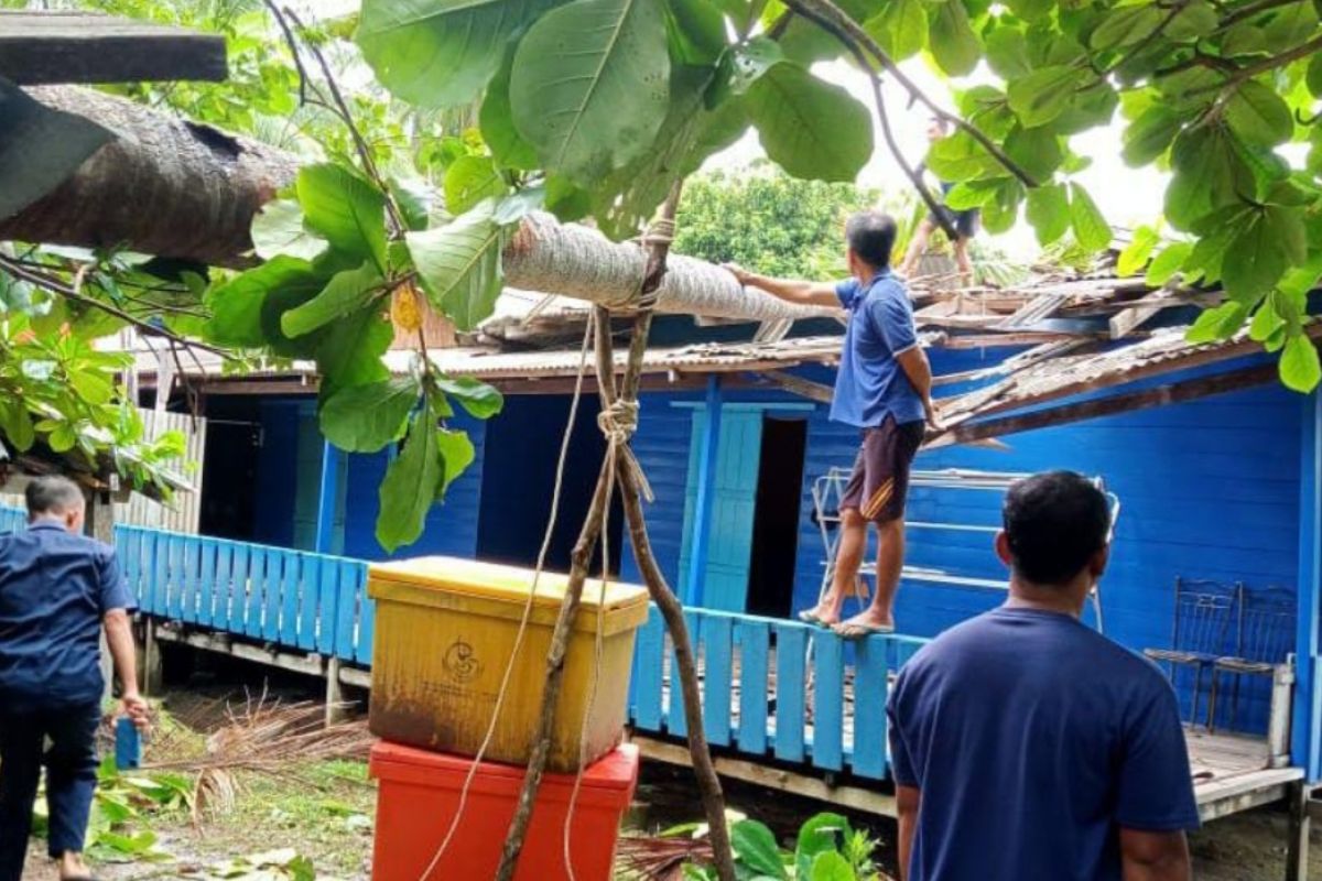 Rumah warga Pulau Laut rusak tertimpa pohon akibat angin kencang