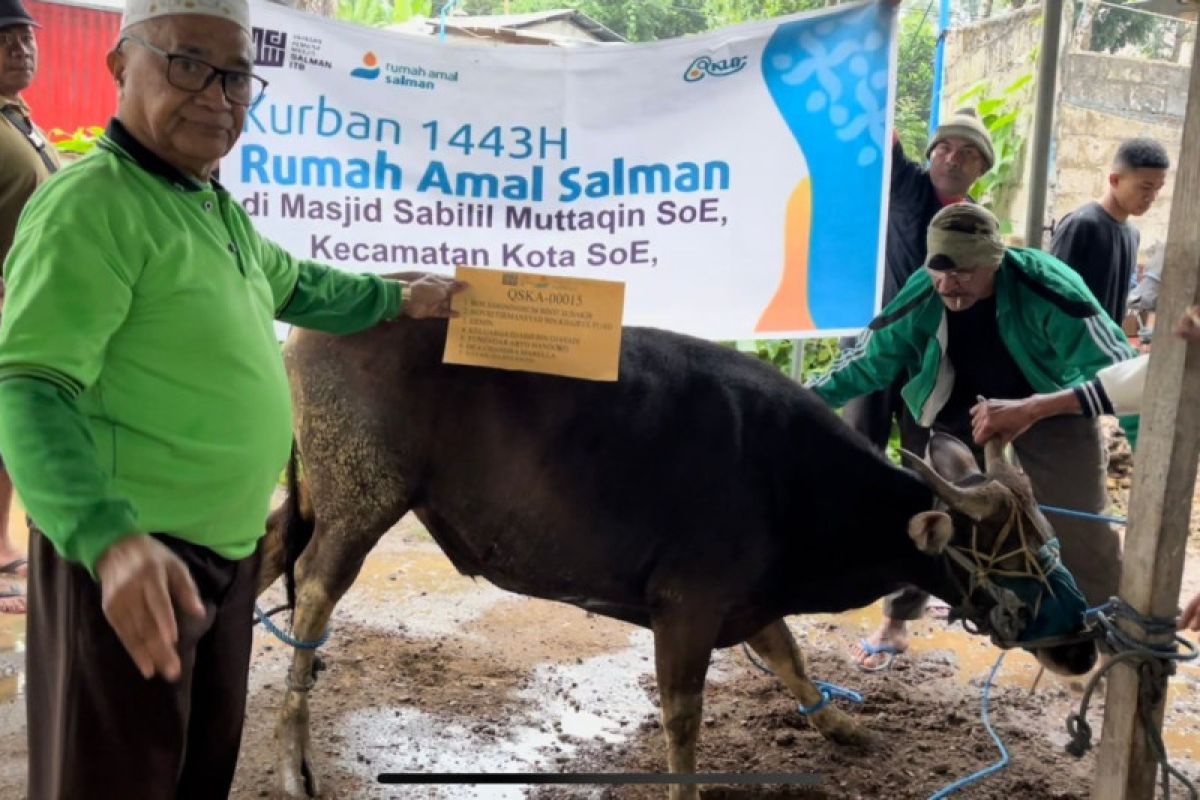 Wakaf Salman ITB salurkan hewan kurban hingga pelosok NTT