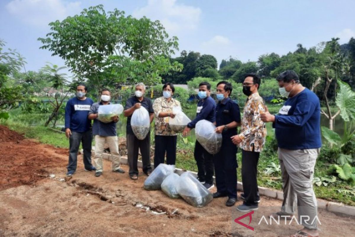 Pemkot Depok siap lakukan pengembangan budidaya komoditas ikan lokal