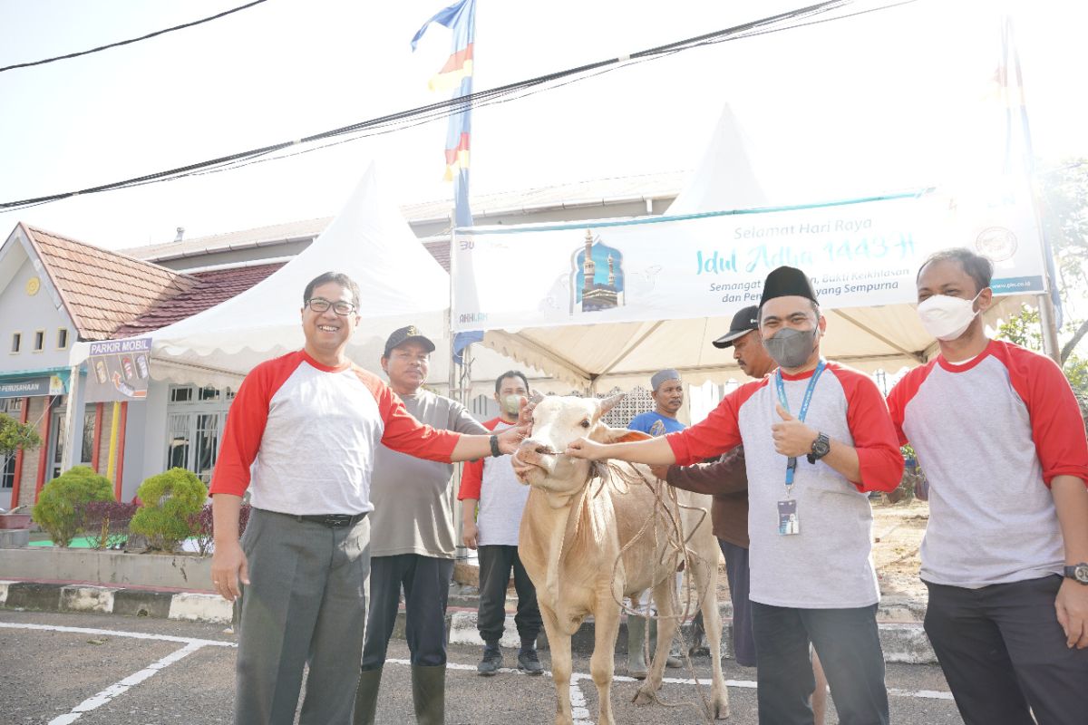 PLN Kalbar bagikan 2.250 kantong daging kurban kepada yatim - kaum dhuafa