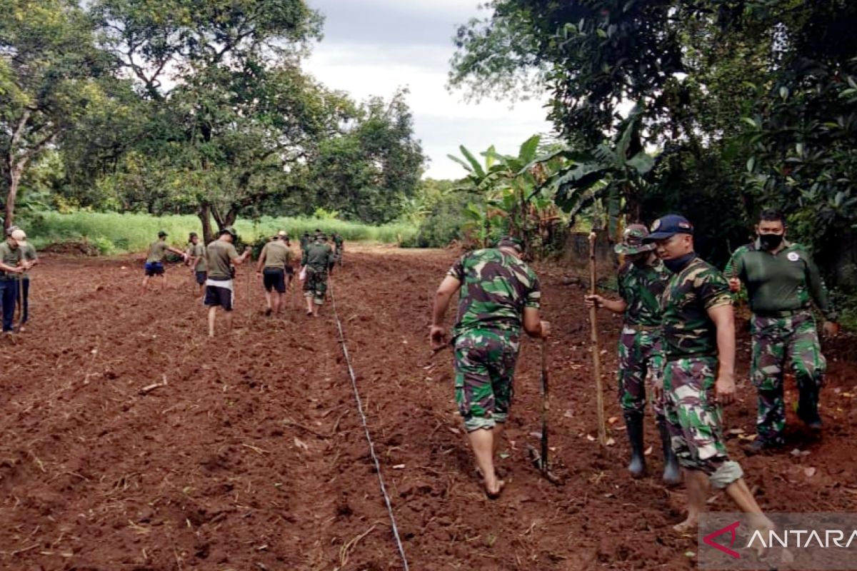 Korem Gapo tanam jagung serentak di 98 hektare lahan di Kabupaten OKU