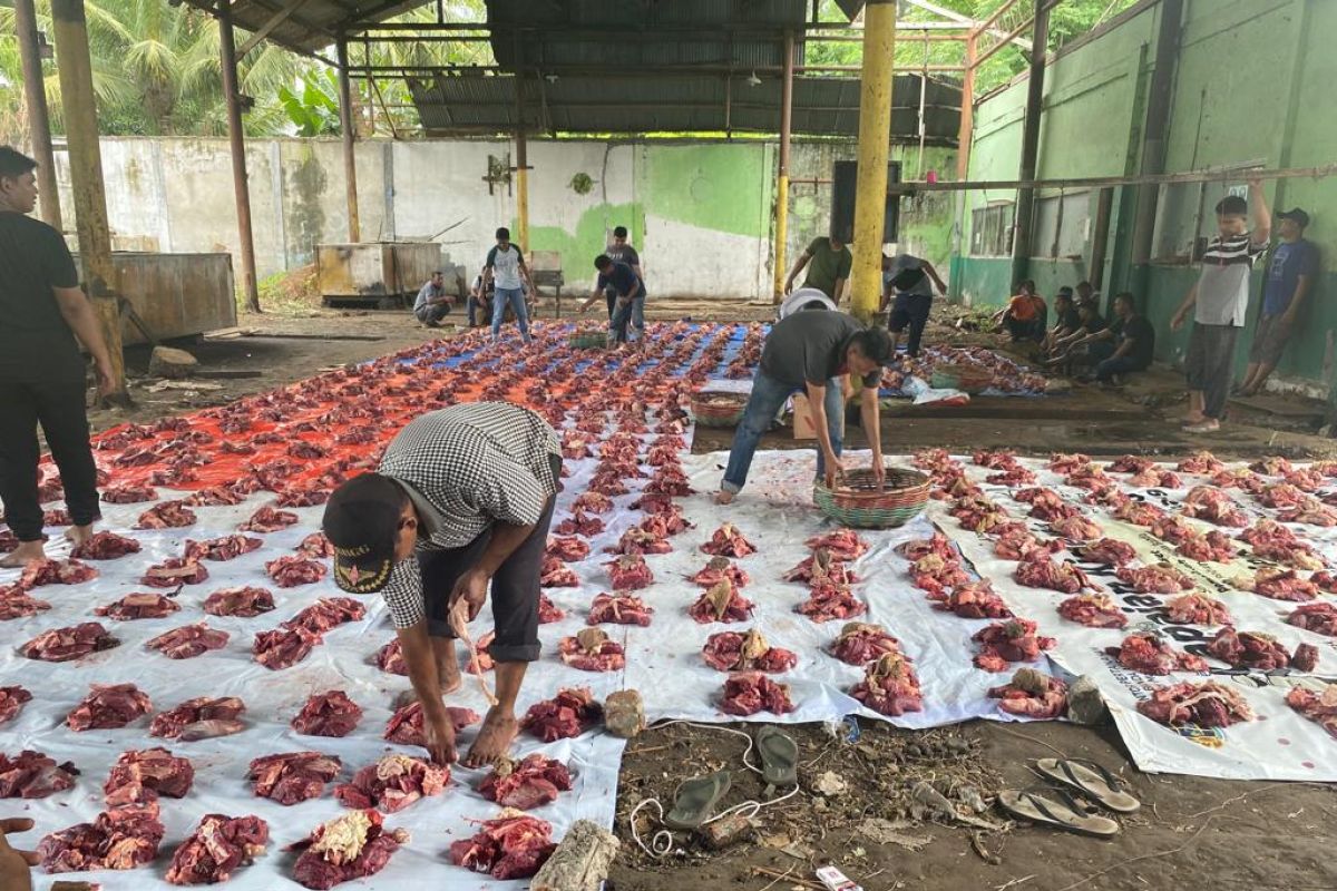 Lueng Bata sembelih 31 ekor ternak