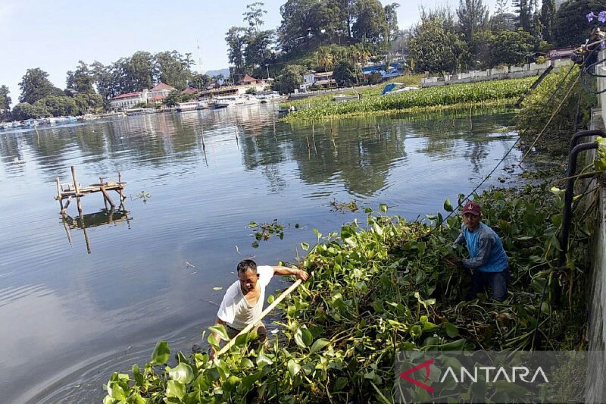 Water hyacinth and concept of Lake Toba's tourism sustainability