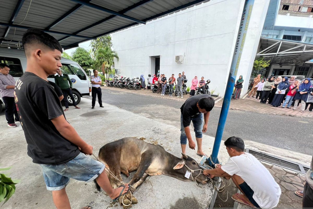 Jaga semangat silaturrahmi, Dishub Sumbar selenggarakan kurban 1443 H