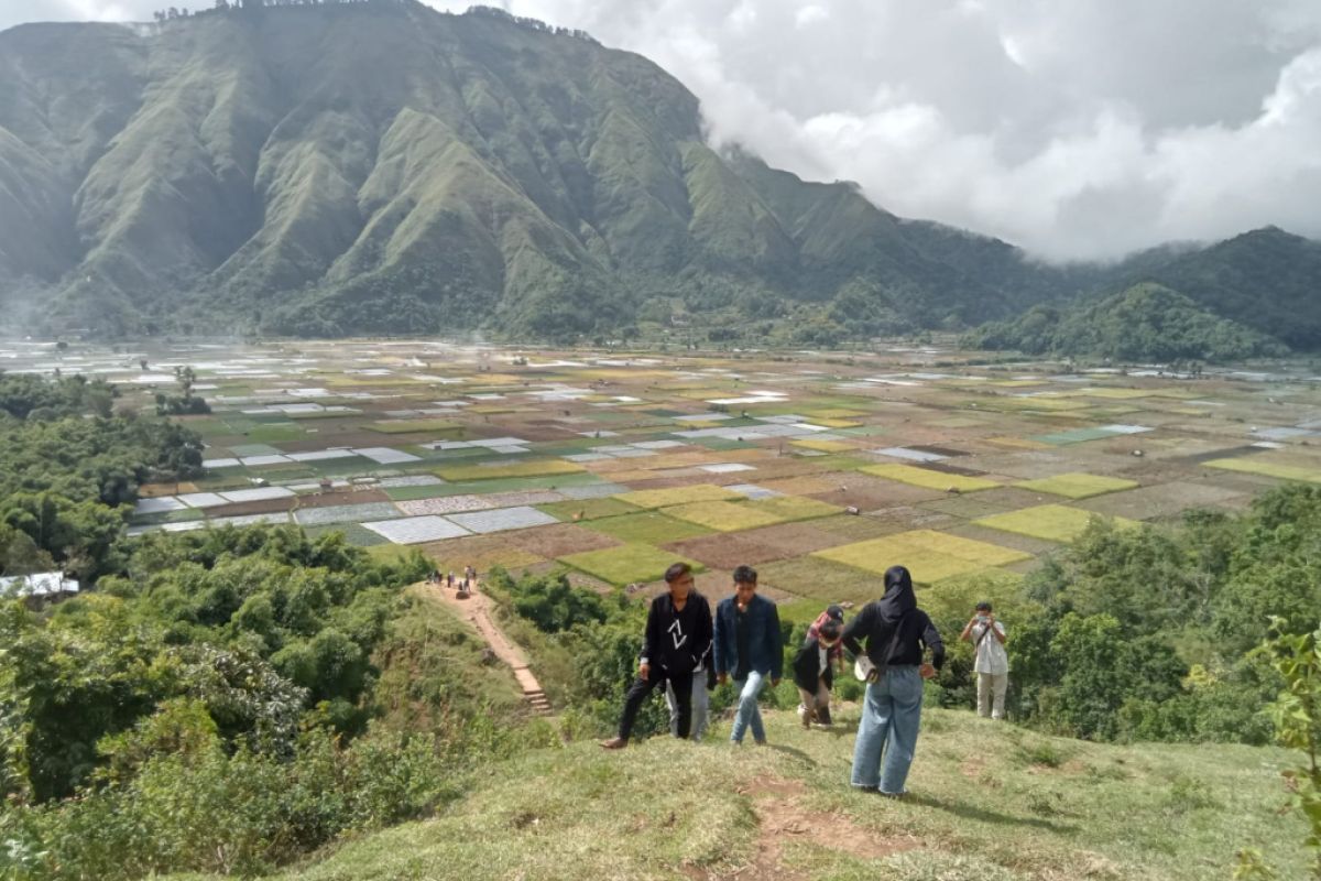 Mt. Rinjani foothills' temperature reaches 12 degrees Celsius: BMKG