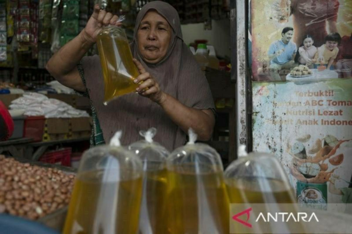 PTPN V distribusikan minyak goreng murah di Pekanbaru
