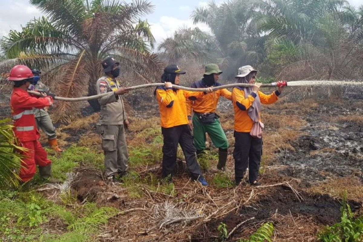 Tim gabungan padamkan lahan terbakar di Rokan Hilir Riau