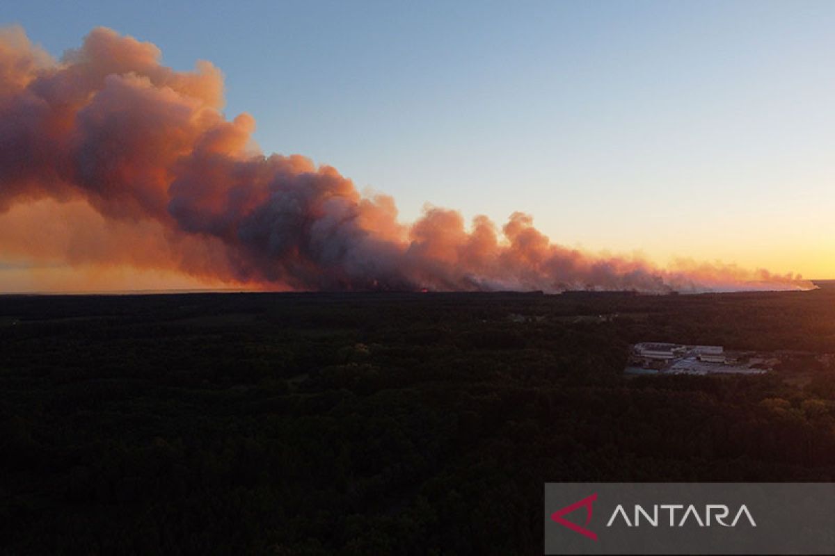 Gelombang panas picu kebakaran hutan di Portugal dan Spanyol