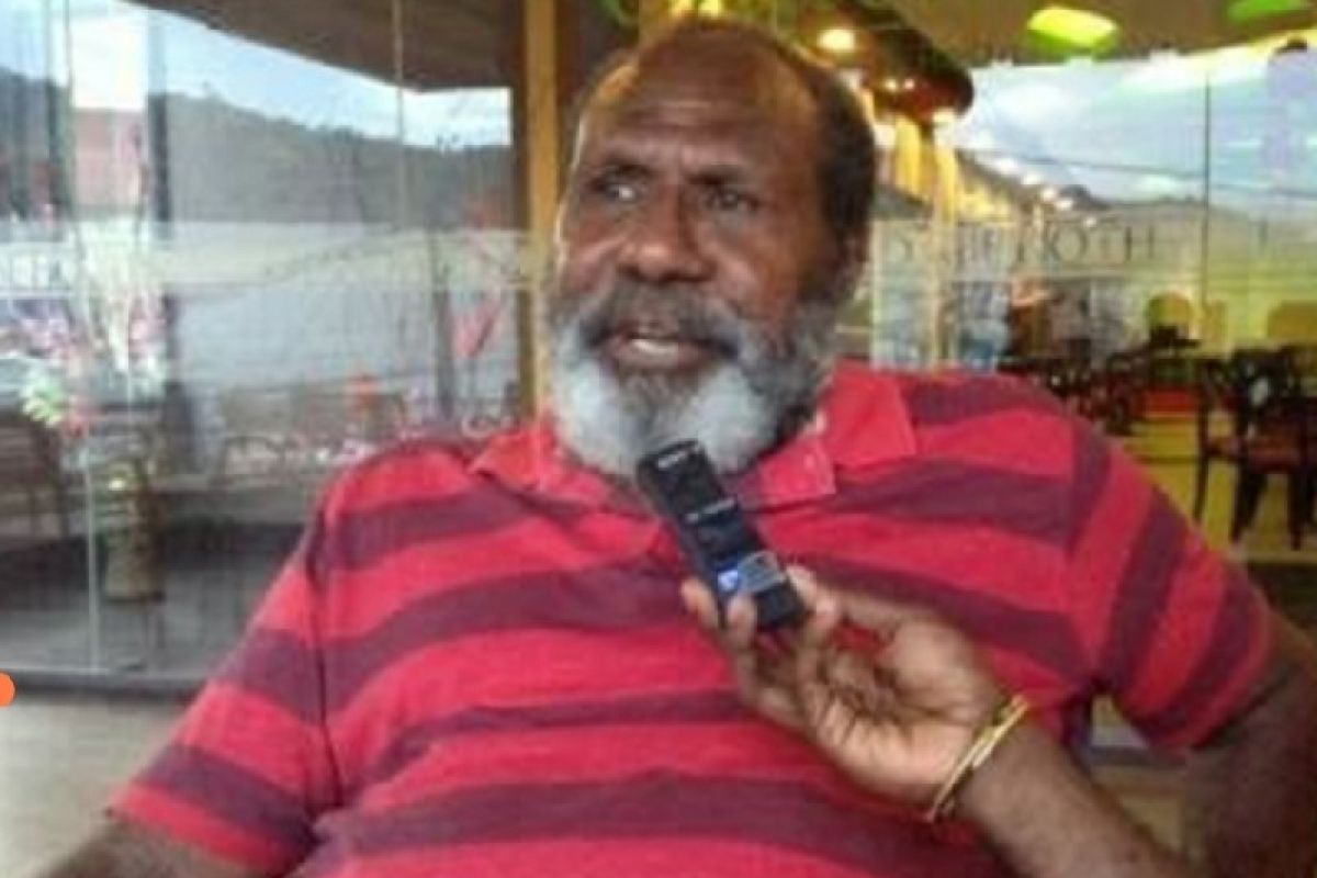 Gebse sebut DOB bagi Papua Selatan terwujud setelah perjuangan 20 tahun