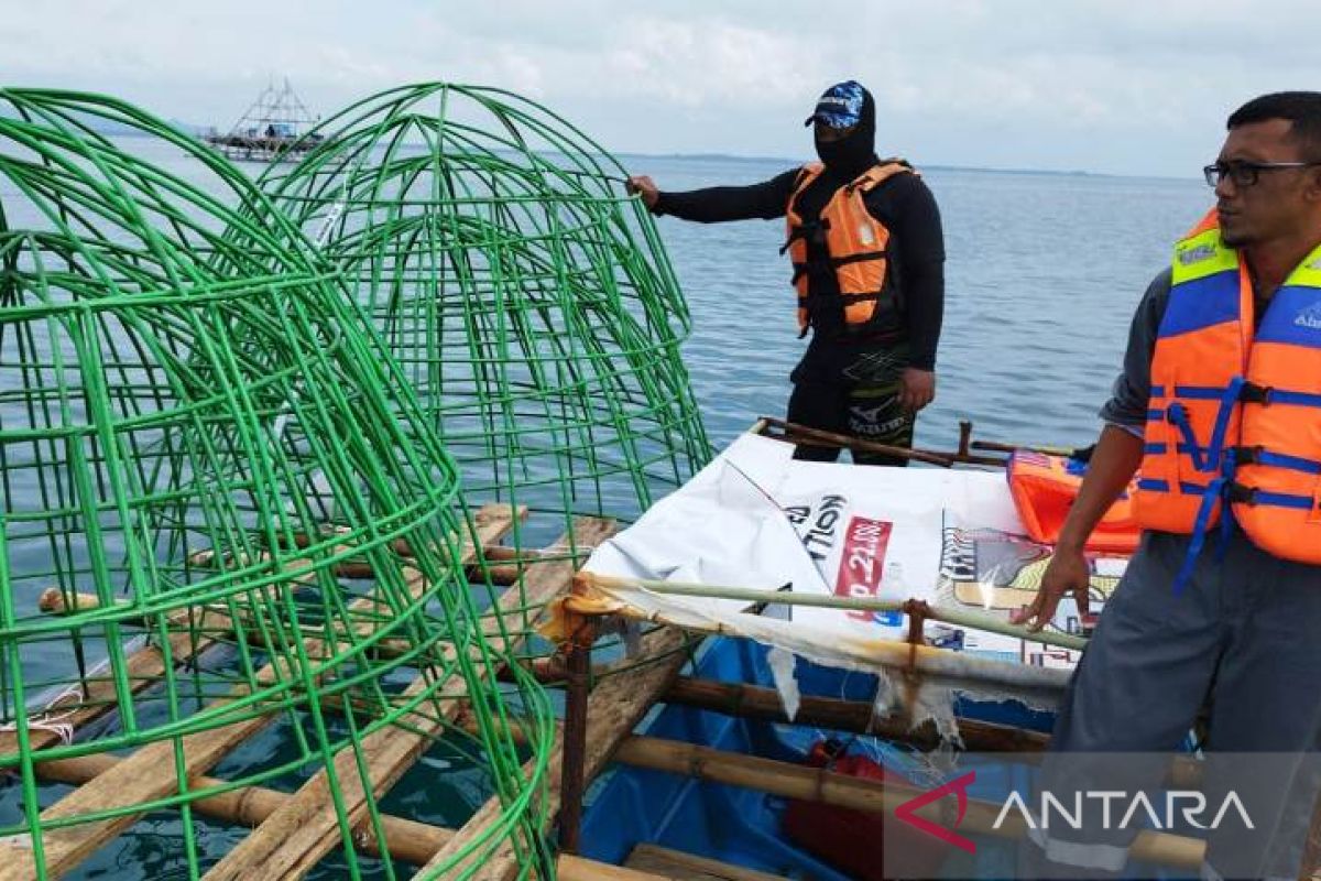 PT Timah installs 1,920 units of artificial reef in Bangka