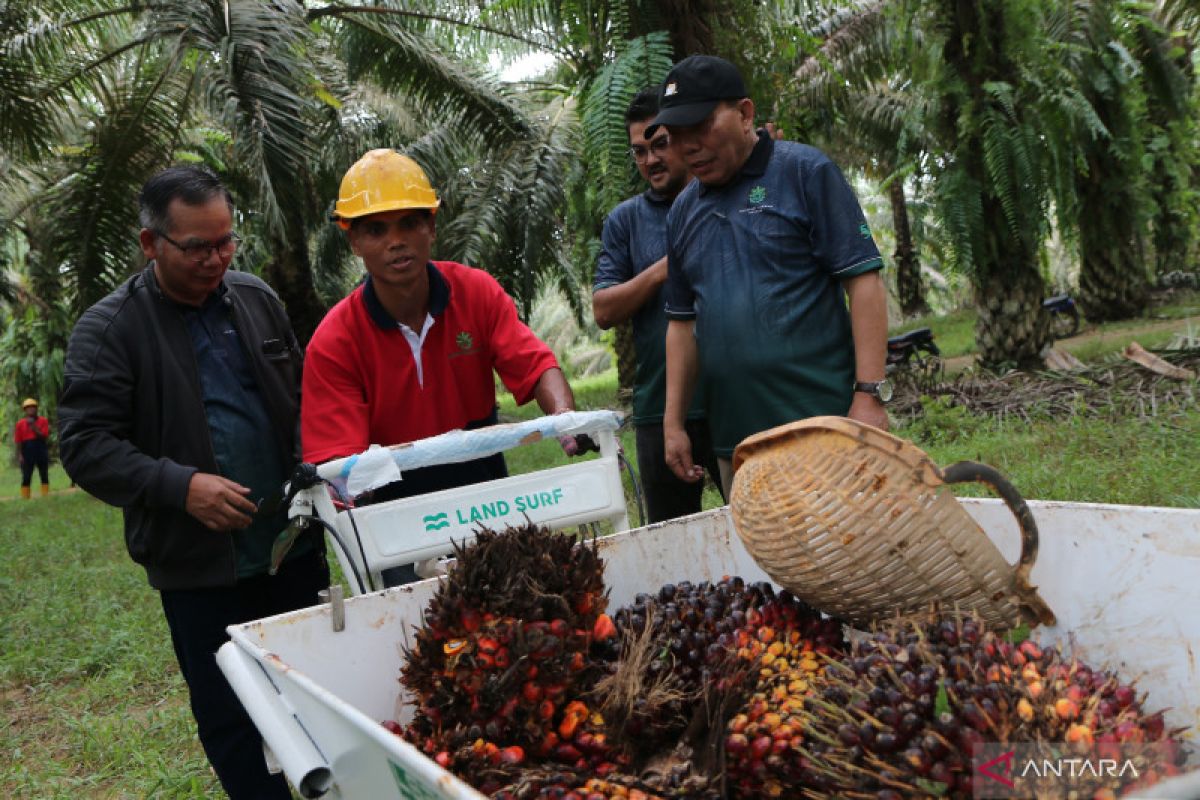 Disnakertrans NTB ajak Malaysia tidak pekerjakan PMI unprosedural