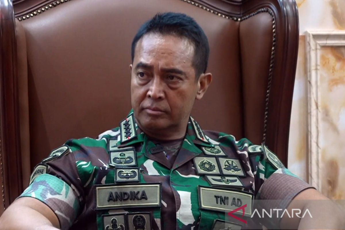 Panglima TNI kawal kasus yang melibatkan anggota TNI