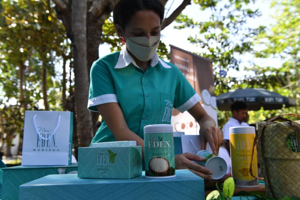 Kelor Flores dipamerkan pada pertemuan Sherpa G20 di Labuan Bajo