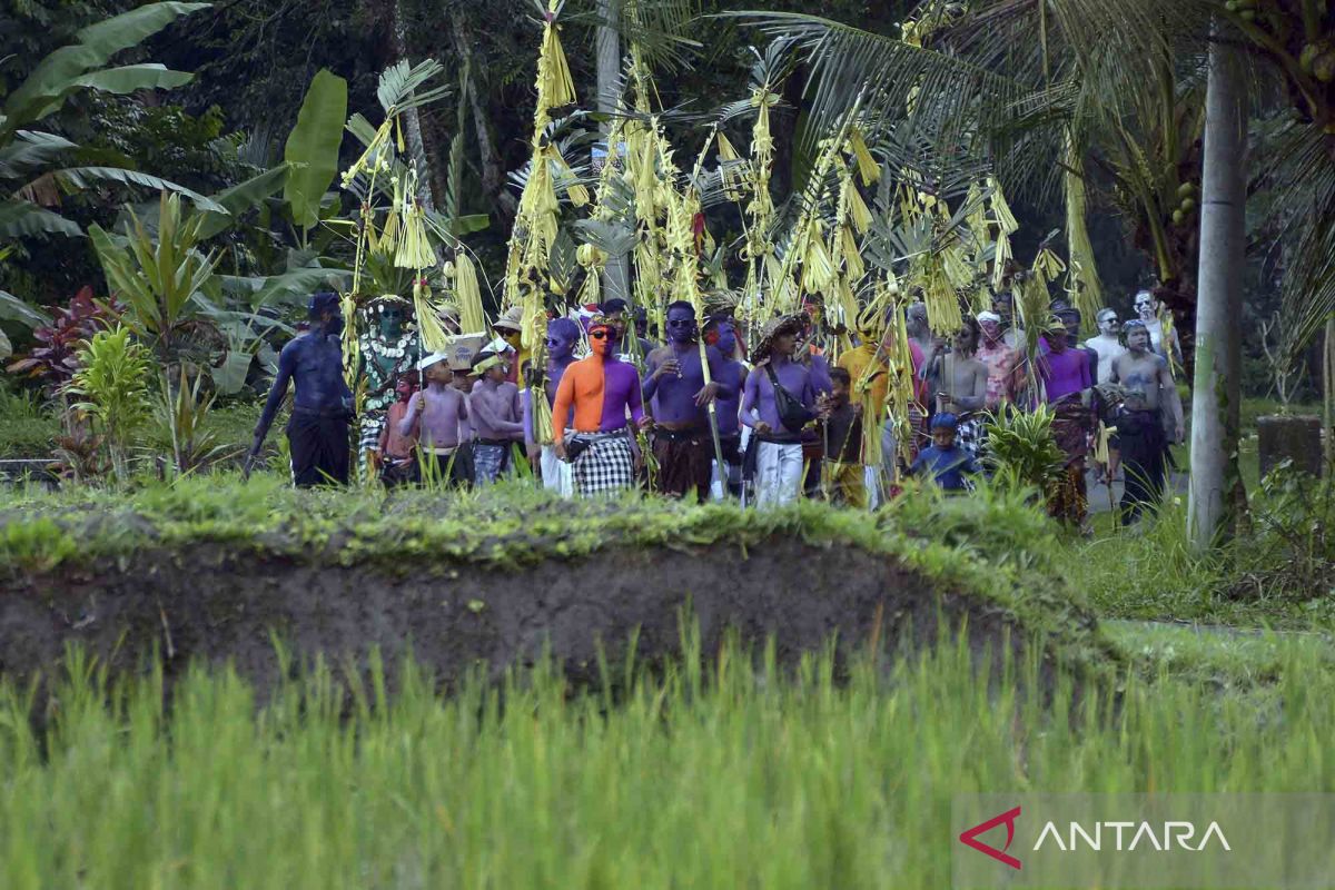 Ngerebeg Tradisi Mewarnai Diri Yang Hanya Ada Di Tegallalang Antara News 1999