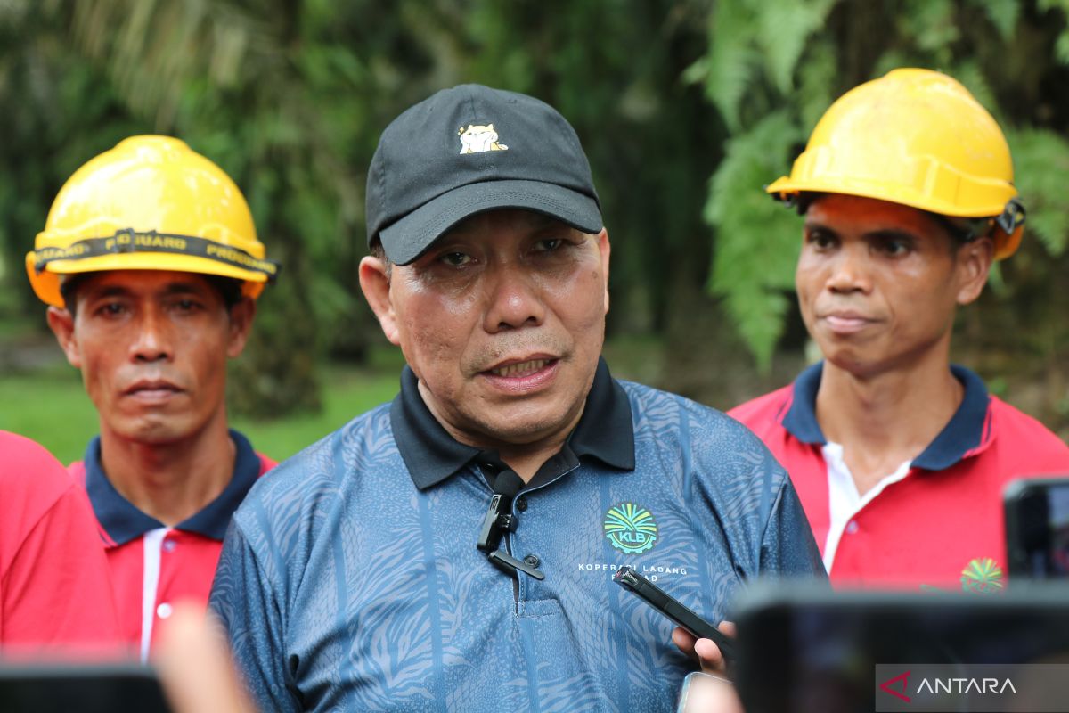 APPMI memastikan tidak ada pungutan biaya perekrutan PMI jalur resmi