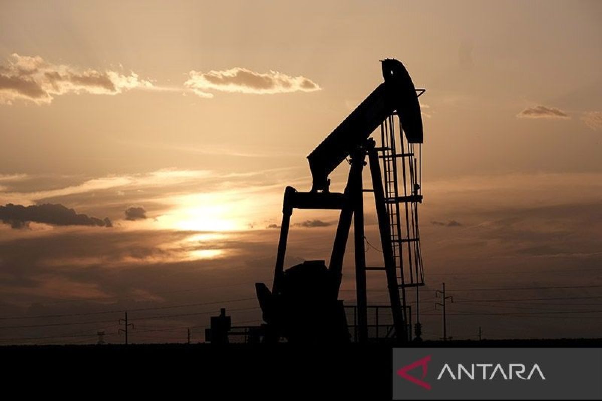 Pasokan minyak mentah AS naik, data minyak bumi lainnya beragam