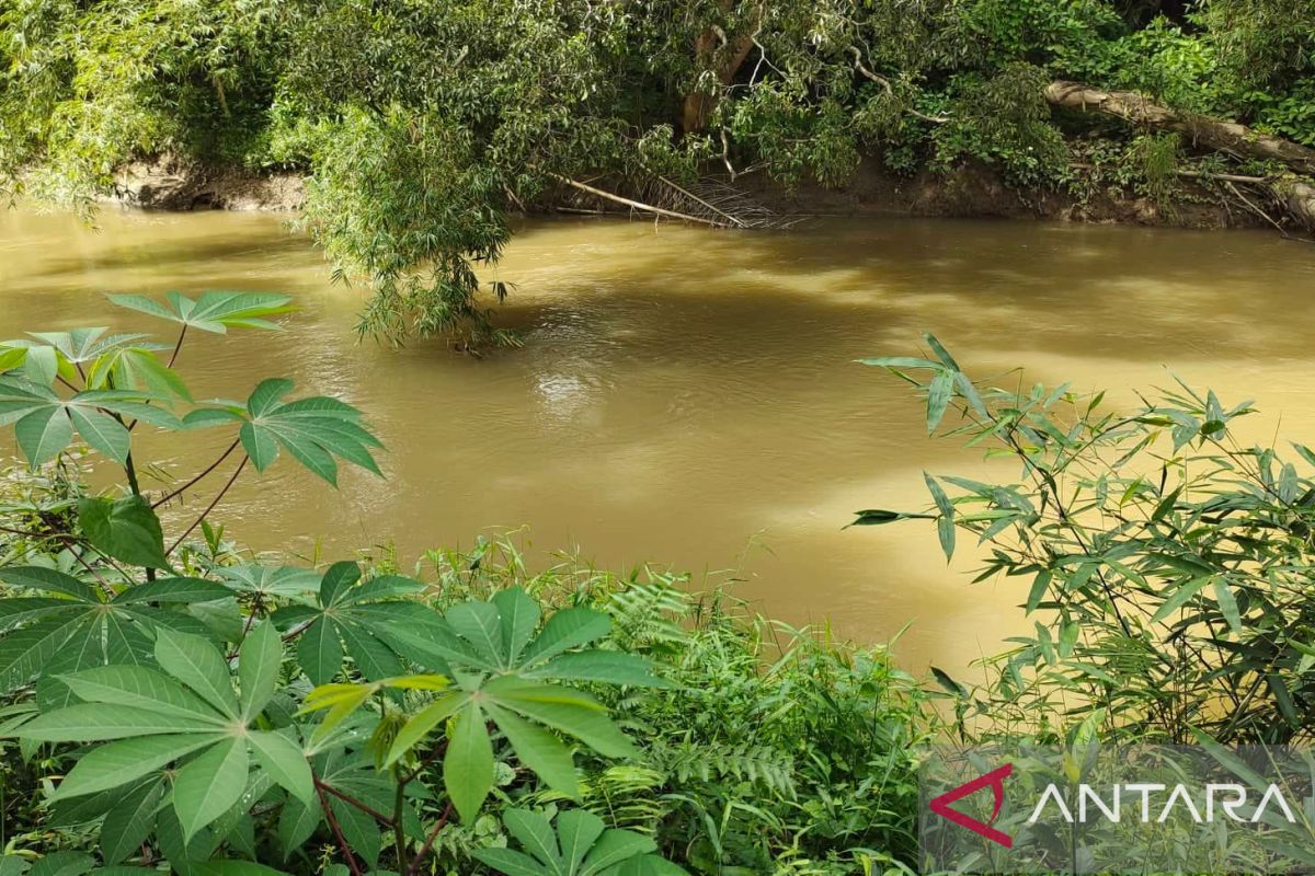 Warga keluhkan keruhnya Sungai Pitap, Kabupaten Balangan