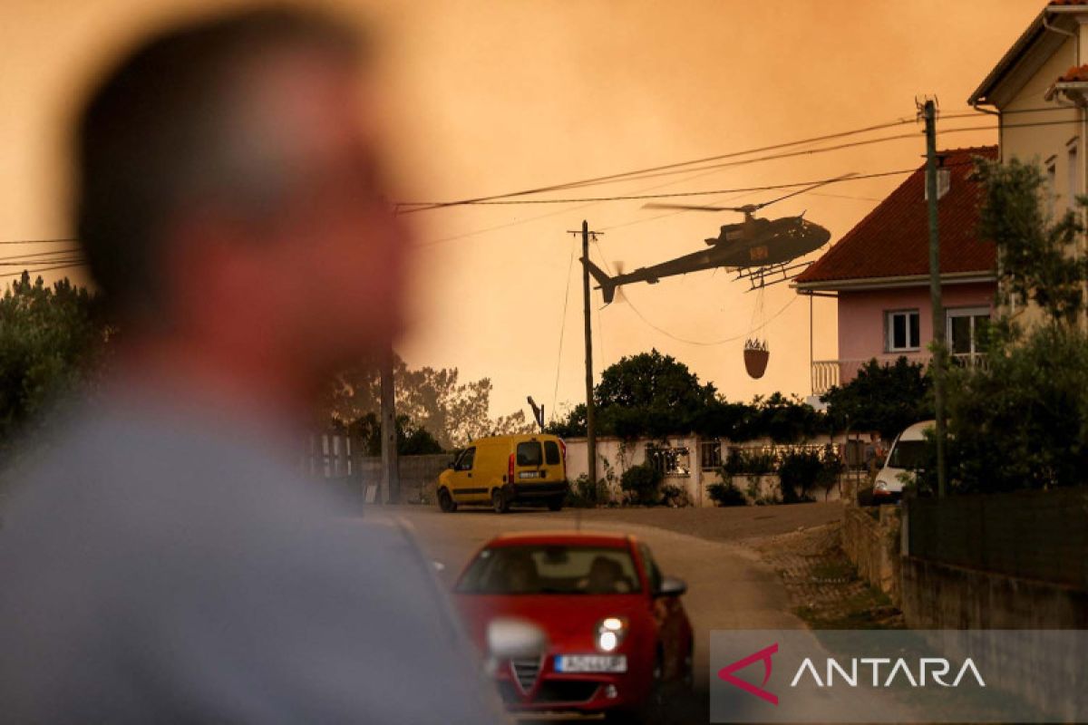 Pilot pengebom air tewas saat padamkan kebakaran di Portugal