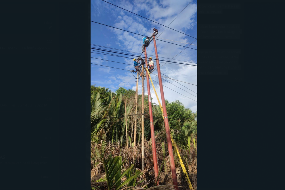 PLN UP3 Ketapang rutin lakukan pemeliharaan pada jaringan listrik