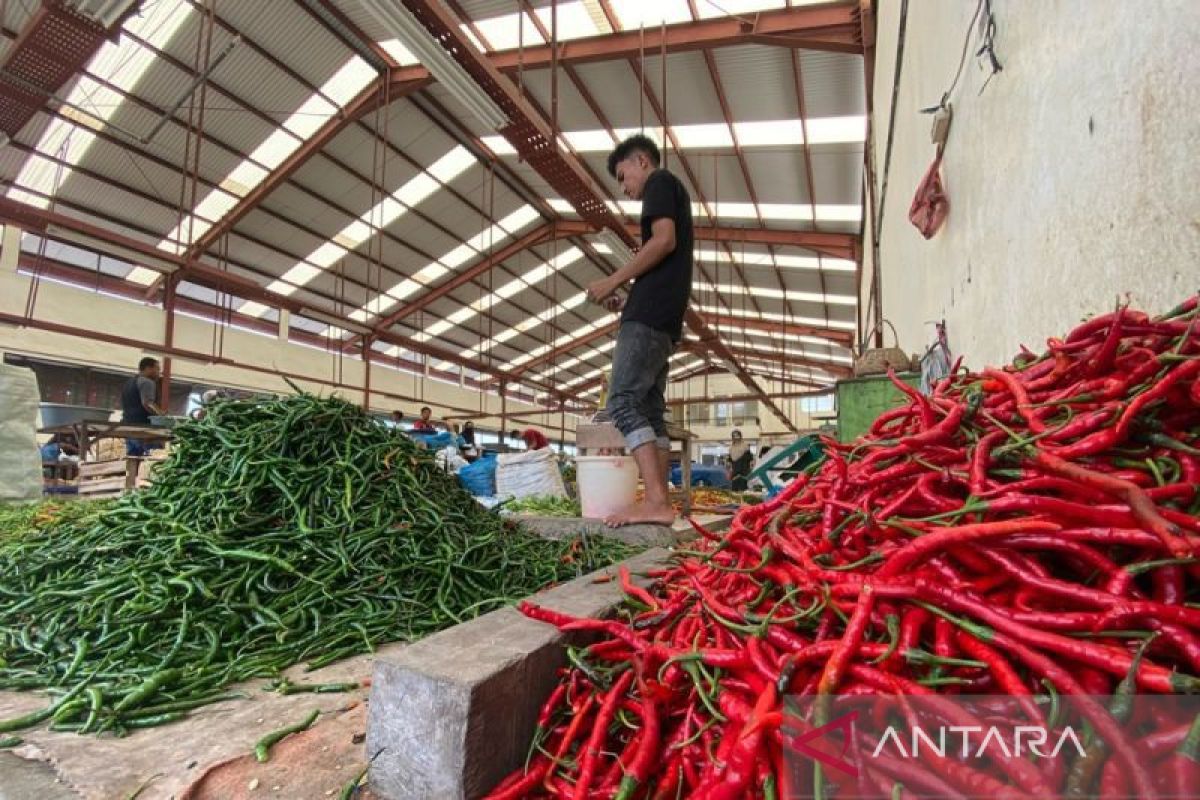 Harga cabai merah di Aceh turun jadi Rp60 ribu per kilogram